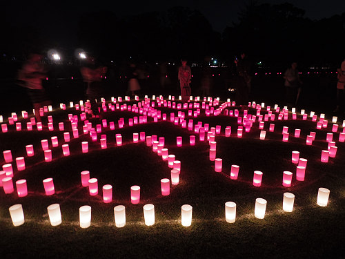 2016なら燈花会-15 2016なら燈花会-15