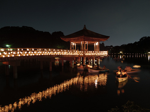 2016なら燈花会-23 2016なら燈花会-23