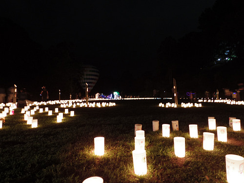 飛鳥光の回廊 2016 ～四神降臨～ ＠明日香村-14