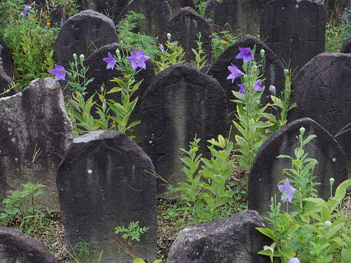 行基葺きの古代瓦の見学＠元興寺-22