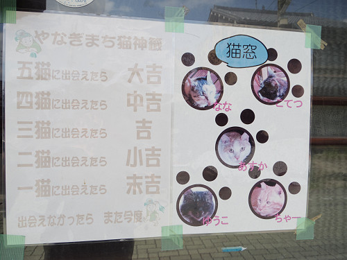 猫窓 ＠やなぎまち商店街（大和郡山市）-04