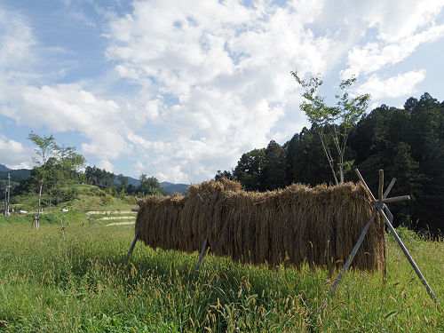 キトラ古墳壁画体験館 四神の館 ＠明日香村-22