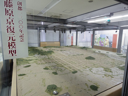 コスモス ＠藤原宮跡（橿原市）-14