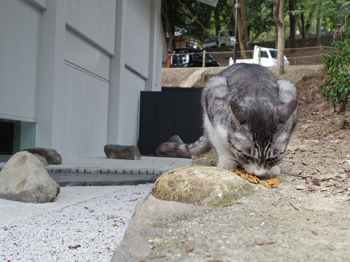 春日大社『国宝殿』@奈良市-17 春日大社『国宝殿』@奈良市-17