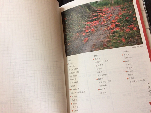 奈良旅手帖2017-03