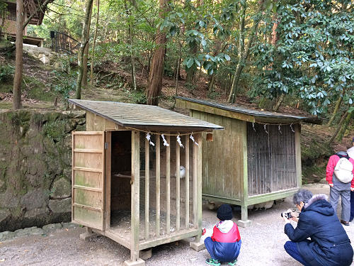 2017年の初詣『石上神宮』＠天理市-07