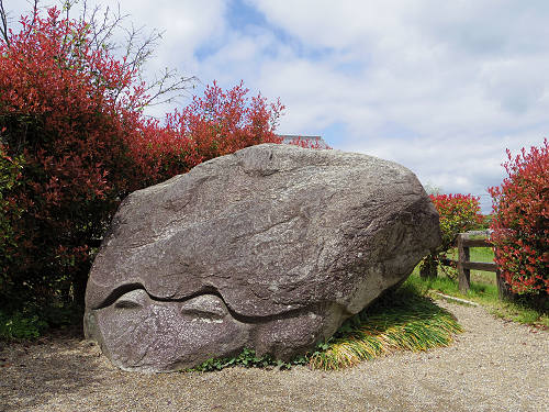 飛鳥カリーカフェ ＠明日香村-13