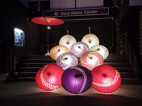 なら瑠璃絵2017-06