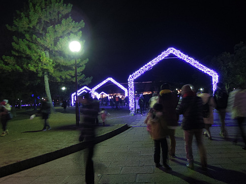 なら瑠璃絵2017-07