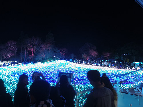 なら瑠璃絵2017-14