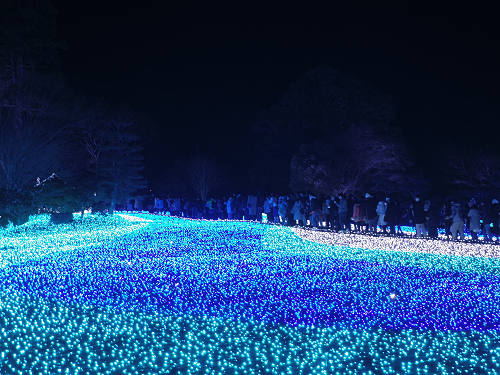 なら瑠璃絵2017-15