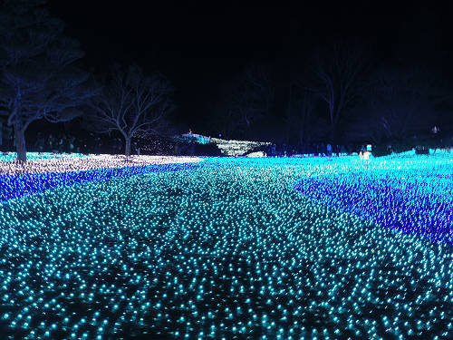 なら瑠璃絵2017-16