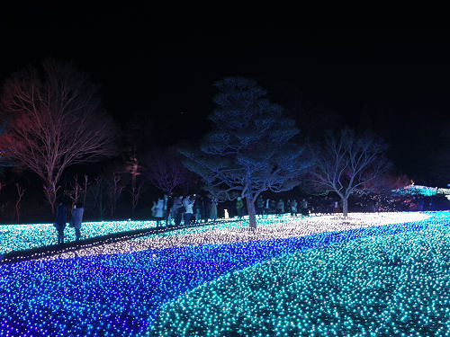 なら瑠璃絵2017-17