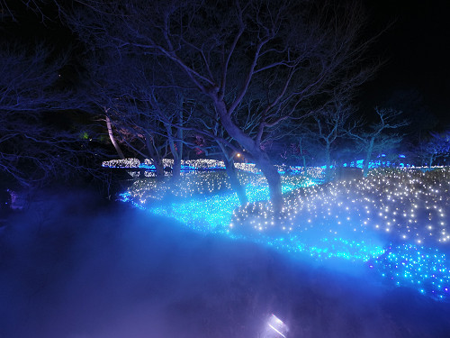 なら瑠璃絵2017-18