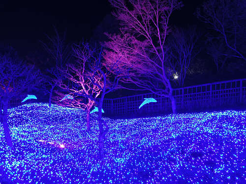 なら瑠璃絵2017-19