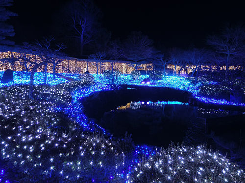 なら瑠璃絵2017-20