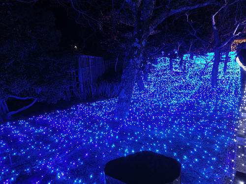 なら瑠璃絵2017-21