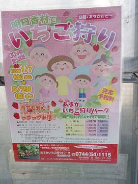 あすかいちご狩りパーク ＠明日香村-03