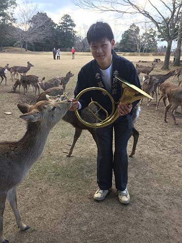 鹿寄せ 2017冬 @奈良公園(奈良市)-18 鹿寄せ 2017冬 @奈良公園(奈良市)-18