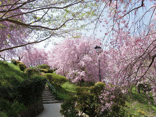大美和の杜展望台(大神神社)@桜井市-02 大美和の杜展望台(大神神社)@桜井市-02