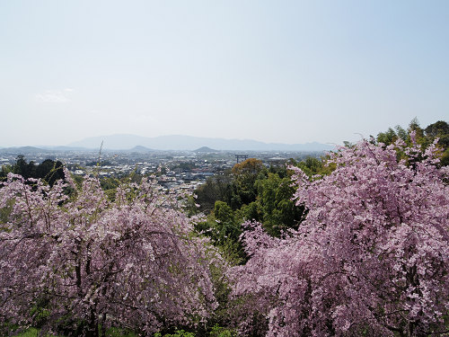 大美和の杜展望台(大神神社)@桜井市-06 大美和の杜展望台(大神神社)@桜井市-06
