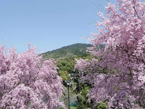 大美和の杜展望台(大神神社)@桜井市-07 大美和の杜展望台(大神神社)@桜井市-07