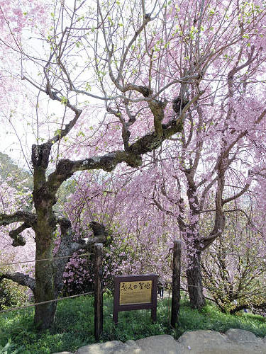 大美和の杜展望台(大神神社)@桜井市-08 大美和の杜展望台(大神神社)@桜井市-08