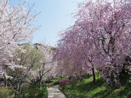 大美和の杜展望台(大神神社)@桜井市-09 大美和の杜展望台(大神神社)@桜井市-09