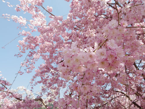 大美和の杜展望台(大神神社)@桜井市-12 大美和の杜展望台(大神神社)@桜井市-12