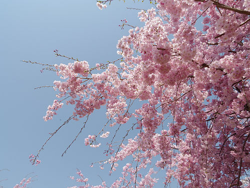 大美和の杜展望台(大神神社)@桜井市-13 大美和の杜展望台(大神神社)@桜井市-13