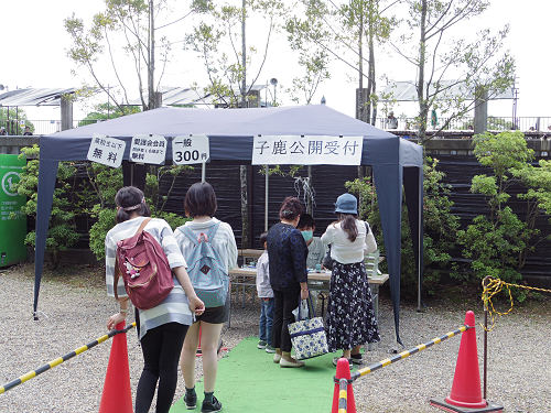 『子鹿公開 赤ちゃん鹿大集合！』2017年-02