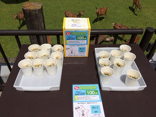 『子鹿公開 赤ちゃん鹿大集合！』2017年-10