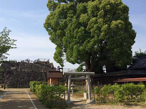 郡山城天守台展望施設 ＠大和郡山市-03