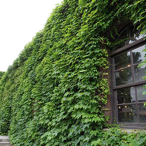 美観地区散歩@岡山県倉敷市-06 美観地区散歩@岡山県倉敷市-06