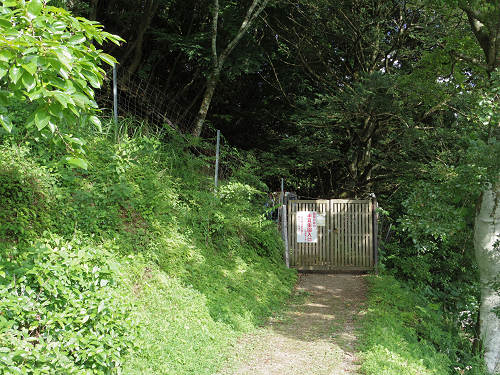 岡田の谷の半夏生園 ＠御杖村神末-02