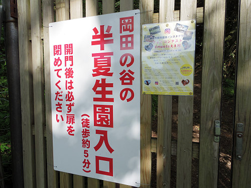 岡田の谷の半夏生園 ＠御杖村神末-03