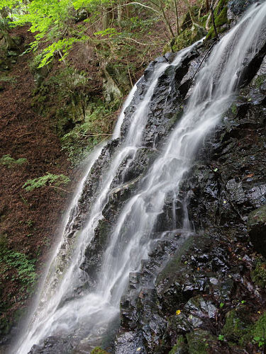 不動の滝（御杖不動滝） ＠御杖村-14