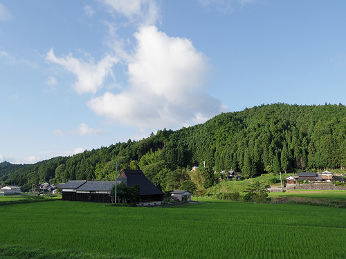 不動の滝（御杖不動滝） ＠御杖村-17