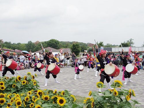 第3回 馬見ひまわりウィーク @馬見丘陵公園-21 第3回 馬見ひまわりウィーク @馬見丘陵公園-21