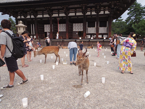 なら燈花会2017-01 なら燈花会2017-01