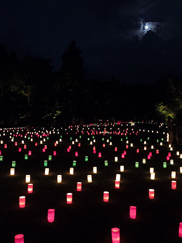 なら燈花会2017-13 なら燈花会2017-13