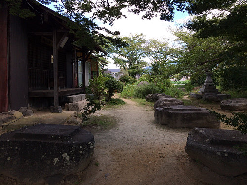 ホテイアオイ@本薬師寺跡(橿原市)-15 ホテイアオイ@本薬師寺跡(橿原市)-15