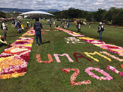 馬見フラワーフェスタ2017 ＠馬見丘陵公園-04