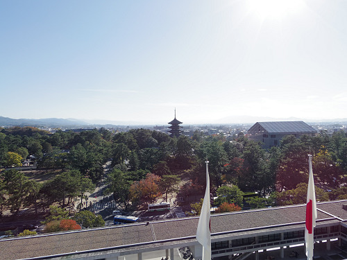 奈良県庁食堂 ＠奈良市-18