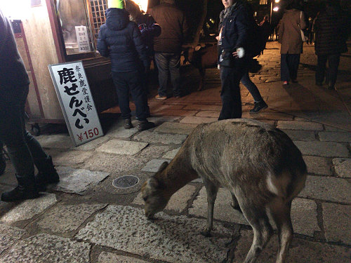 2018年の初詣 ＠東大寺（奈良市）-03
