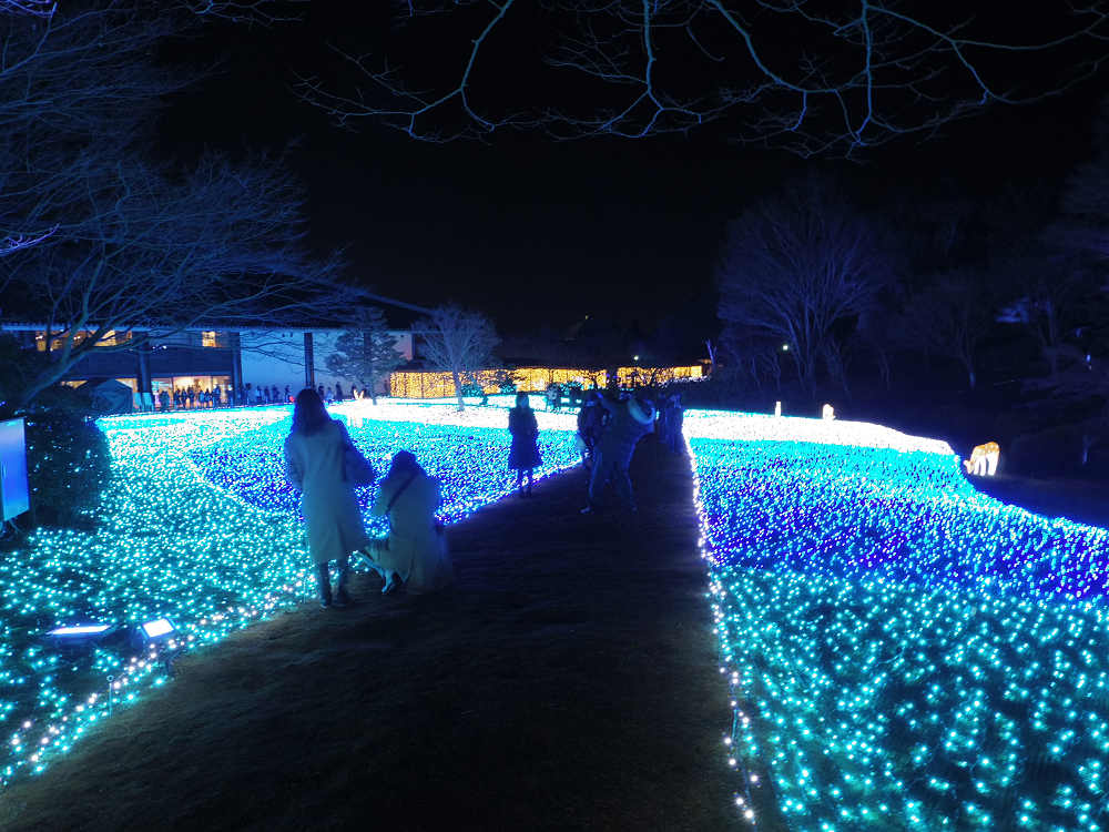 しあわせ回廊 なら瑠璃絵 2018-09