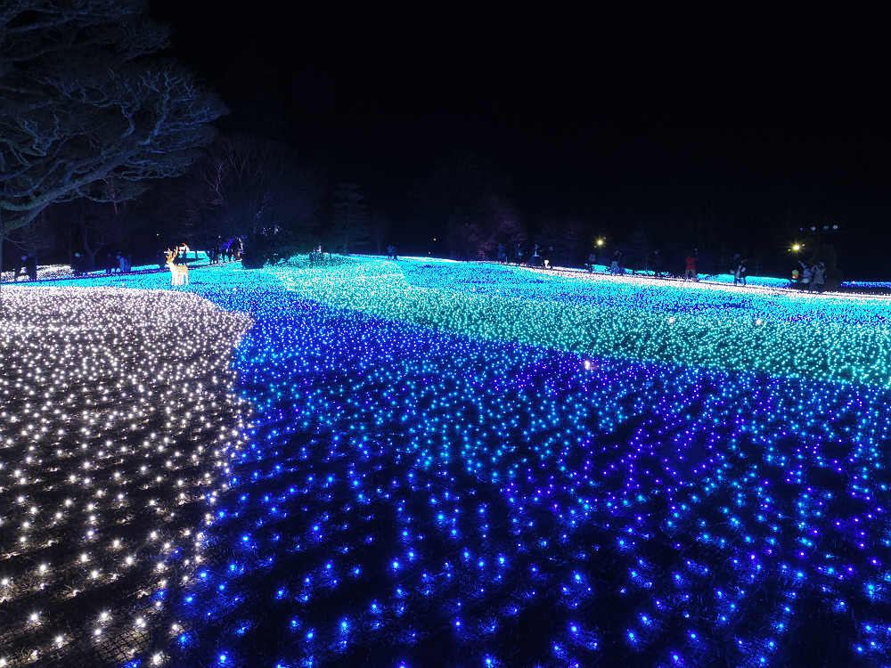 しあわせ回廊 なら瑠璃絵 2018-10