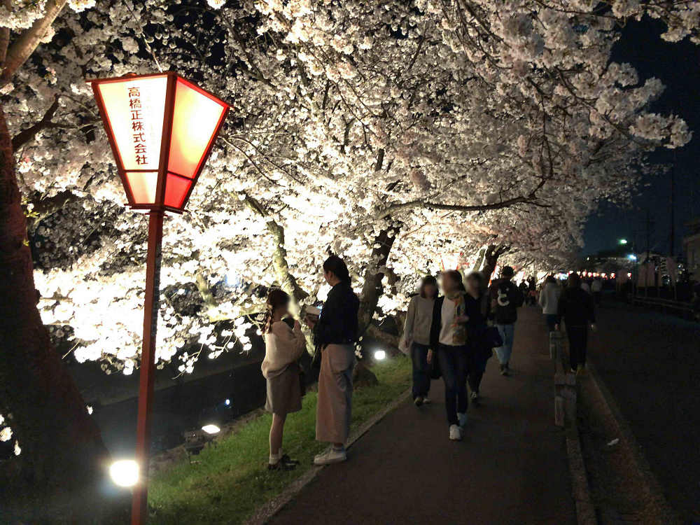 『高田の千本桜』の夜桜 @大中公園(大和高田市)-01 『高田の千本桜』の夜桜 @大中公園(大和高田市)-01