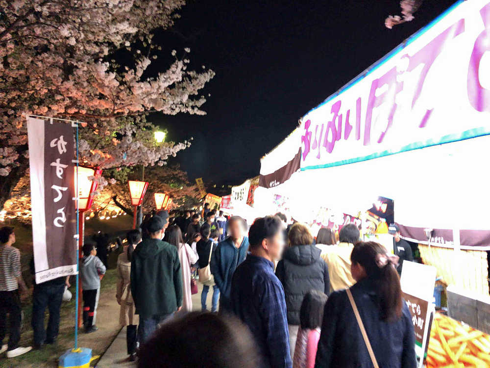 『高田の千本桜』の夜桜 @大中公園(大和高田市)-02 『高田の千本桜』の夜桜 @大中公園(大和高田市)-02