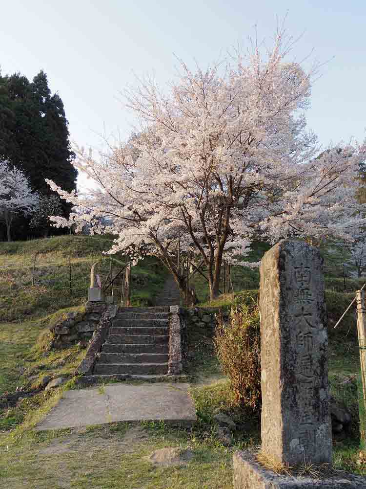 佛隆寺の千年桜 @宇陀市榛原-03 佛隆寺の千年桜 @宇陀市榛原-03
